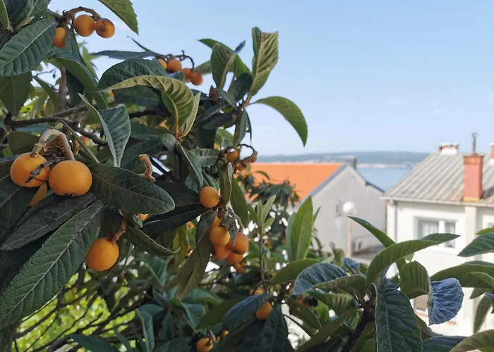 Gemuetliche 2-schlafzimmer-wohnung Mit Meerblick- By Interhome Apartament Crikvenica