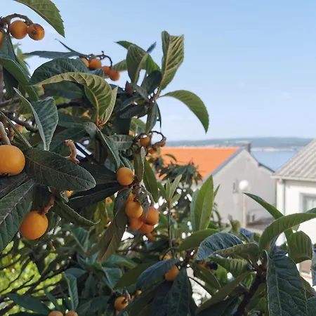 Gemuetliche 2-schlafzimmer-wohnung Mit Meerblick- By Interhome Lägenhet Crikvenica